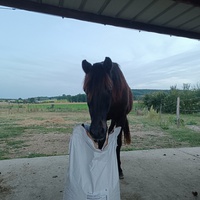 photo de livraison pour Refuge Cheval Nature En Aquitaine