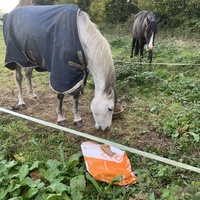 photo de livraison pour Espoir au Galop