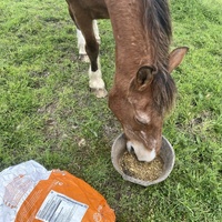 photo de livraison pour Espoir au Galop