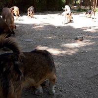 photo de livraison pour Svetlana Bjelogrlic