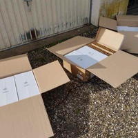 photo de livraison pour Les chats Port-Saint-Louisiens