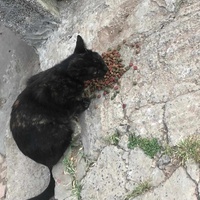 photo de livraison pour Hajar Aourz