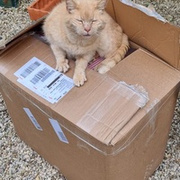 photo de livraison pour Ecole du Chat d’Arbois