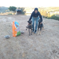 photo de livraison pour Sanctuaire de la Faune de Tanger (SFT)