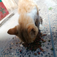 photo de livraison pour Hajar Aourz