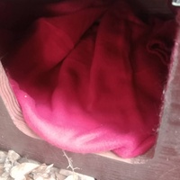 photo de livraison pour Les Chats-Pitresdelavi-Ste