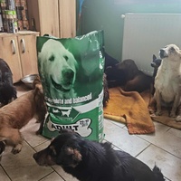 photo de livraison pour ПРИХВАТИЛИШТЕ ДРАЖЕВАЦ