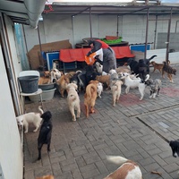 photo de livraison pour Associtia Axi Hope Romania