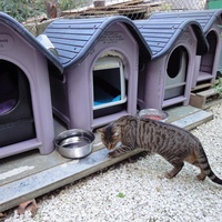 photo de livraison pour Bouba et Compagnie