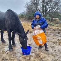 photo de livraison pour La Retraite des Chevaux des Causses