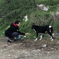 photo de livraison pour Civic Initiative Kane Korzo Skopje