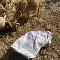 photo de livraison pour Espoir au Galop