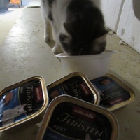 photo de livraison pour Jardin des Chats