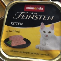 photo de livraison pour Les Chats Libres Condom 32