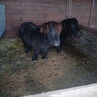 photo de livraison pour Tabula Rasa