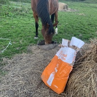 photo de livraison pour Espoir au Galop