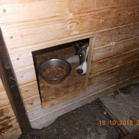 photo de livraison pour Pro Animals Finland ry