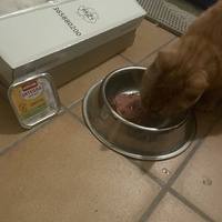 photo de livraison pour Bien vivre avec les Chats Sallélois