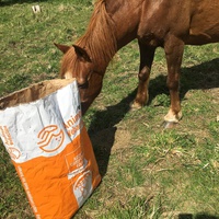 photo de livraison pour Espoir au Galop