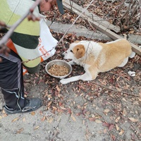 photo de livraison pour Asociația Hăpluț și prietenii