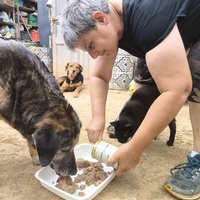 photo de livraison pour Chats Libres de Béziers