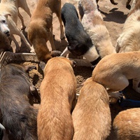 photo de livraison pour ADAN