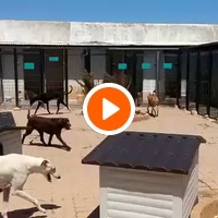 photo de livraison pour Cambiando Miradas