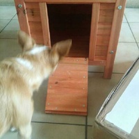 photo de livraison pour Chaperlipopette 77