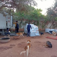 photo de livraison pour Help Adopt Moroccan Animals