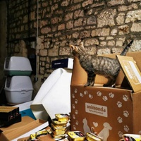 photo de livraison pour Les Chats Libres de Joinville