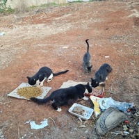 photo de livraison pour Kawthar Maree