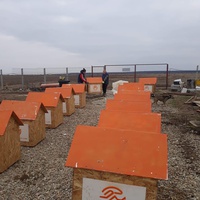photo de livraison pour Animal Shields Oradea