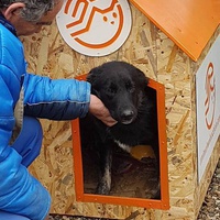 photo de livraison pour Association Lupy Orastie