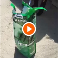 photo de livraison pour Udruženje za zaštitu životinja "Pongo"