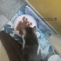 photo de livraison pour CAPPA