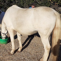 photo de livraison pour Association hippique du Caroux