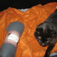 photo de livraison pour Au Bonheur des Chats Libres
