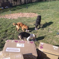 photo de livraison pour L'Esperanza