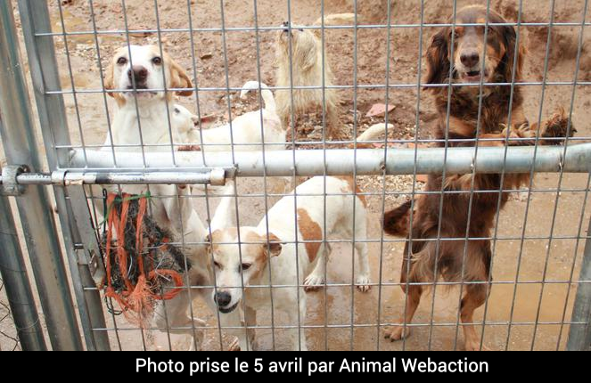 photo association