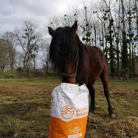 photo de livraison pour Libre en Barguillere