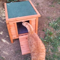 photo de livraison pour Catsfamily 74&73
