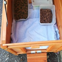 photo de livraison pour Chats Sans Toi"T"