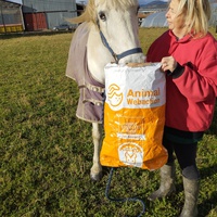 photo de livraison pour Hearthland Royal Horse