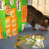 photo de livraison pour Jardin des Chats