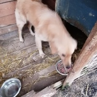 photo de livraison pour Samira Gagula