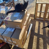 photo de livraison pour Les Pattounes de l'Espoir