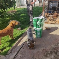photo de livraison pour ПРИХВАТИЛИШТЕ ДРАЖЕВАЦ