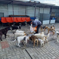 photo de livraison pour Associtia Axi Hope Romania