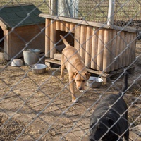 photo de livraison pour Azil Bella