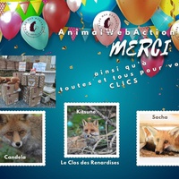 photo de livraison pour Le Clos des Renardises